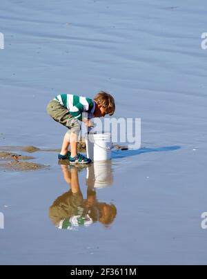 Young boy reflection in wet sand Stock Photo