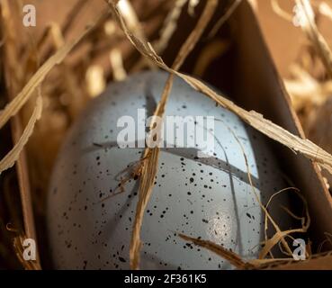 Easter background with Easter eggs in box with the hay, Easter card with copy space for text. Stock Photo