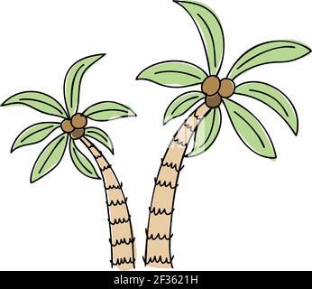 Scandinavian vector summer tropical palm trees doodle isolated on white background illustration Stock Vector
