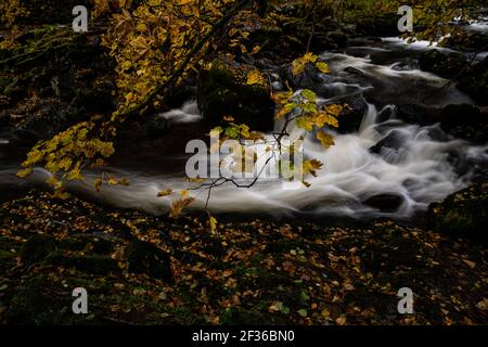 A small river waterfall at Aira Force in Ullswater in the Lake District, Cumbria. Stock Photo