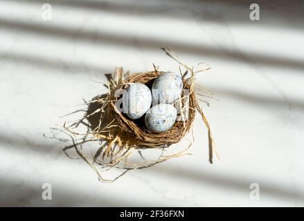 Three small Easter blue eggs in the nest, beautiful background with shadows Stock Photo