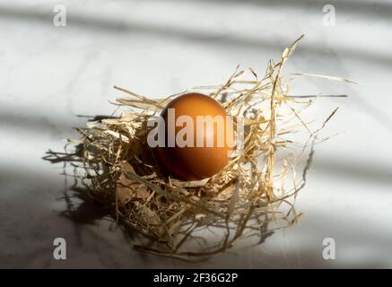 One big Easter egg with the hay, beautiful background with shadows Stock Photo