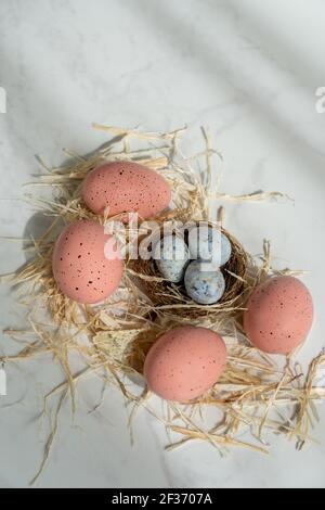 Four pink eggs and three small blue eggs in the nest Stock Photo