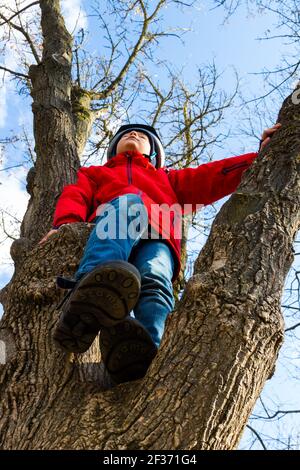 Boy child climbing and sitting in tree in early spring low angle view Stock Photo