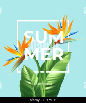 Summer tropical background with Strelitzia flowers and tropical leaves. The inscription Summer on a background of tropical green leaves. Vector Stock Vector