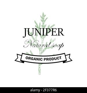 Juniper natural soap logo with hand drawn element isolated on white background. Vector illustration in vintage style Stock Vector