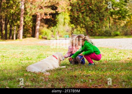 two little girls worry about their favorite dog Stock Photo