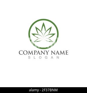 cannabis leaf nature logo vector Stock Vector