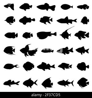 Fish vector silhouettes black on white. Set of marine animals in monochrome style illustration Stock Vector