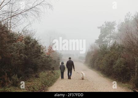 Rear view of father and son walking dog along gravel path in fog Stock Photo