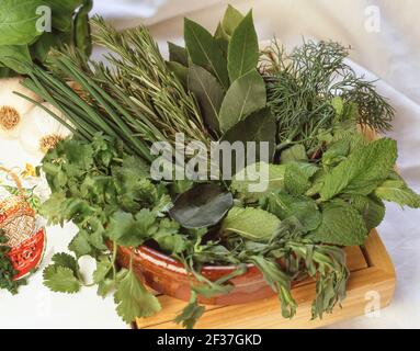 Fresh herb selection on chopping board, Winkfield, Berkshire, England, United Kingdom Stock Photo
