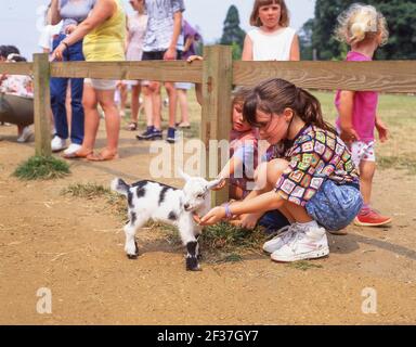 Young girl feeding baby goat in Children's Farmyard, Cotswold Wildlife Park & Gardens, Burford, Wiltshire, England, United Kingdom Stock Photo