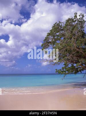 Darkwood Beach, Saint Mary’s Parish, Antigua, Antigua and Barbuda, Lesser Antilles, Caribbean