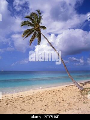 Darkwood Beach, Saint Mary’s Parish, Antigua, Antigua and Barbuda, Lesser Antilles, Caribbean