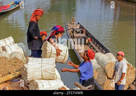 Pa Oh (Pa O) women loading bamboo strips onto a transport boat, to be sold at a market in Inle Lake. Myanmar Burma Stock Photo