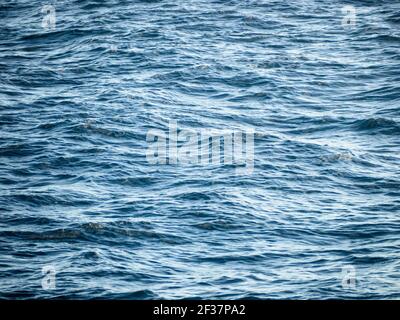 Southern Ocean swell, Bremer Canyon, Western Australia Stock Photo