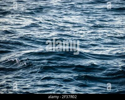 Southern Ocean swell, Bremer Canyon, Western Australia Stock Photo