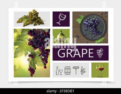 Realistic grapes composition with white red purple grapes bottle and glasses of wine and winemaking linear icons vector illustration Stock Vector