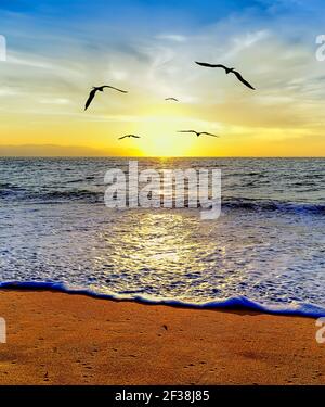 A group OF Birds Are Flying Toward The Setting Sun On the Ocean Horizon In A Vertical Format Image Stock Photo