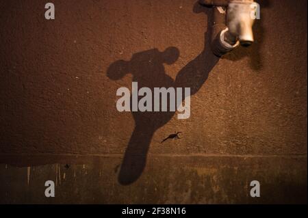 Tehatta, India. 14th Mar, 2021. An Indian red scorpion beside a handwashing tap. The Indian red scorpion (Hottentotta tamulus) or eastern Indian scorpion is considered to be the most lethal scorpion in the world. (Photo by Soumyabrata Roy/Pacific Press) Credit: Pacific Press Media Production Corp./Alamy Live News Stock Photo