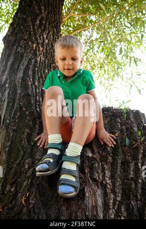 Little boy sitting on tree in park Stock Photo