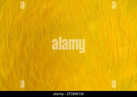 Yellow fluff on a background wall Stock Photo