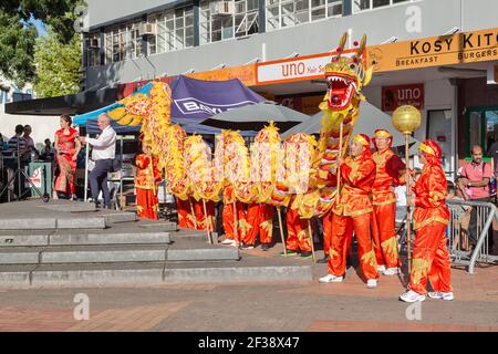 Chinese dragon dancers with a long red and golden dragon on poles. Chinese New Year celebrations, Hamilton, New Zealand Stock Photo