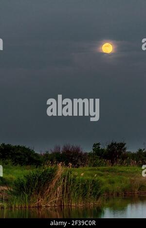 night landscape with moon and moonbeam in river. Stock Photo