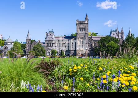 geography / travel, Canada, Toronto, University of Toronto, college of Toronto, Kings college circus, Additional-Rights-Clearance-Info-Not-Available Stock Photo