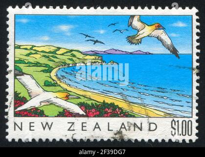 NEW ZEALAND - CIRCA 1989: stamp printed by New Zealand, shows The Sea, Gulls over coast, circa 1989 Stock Photo