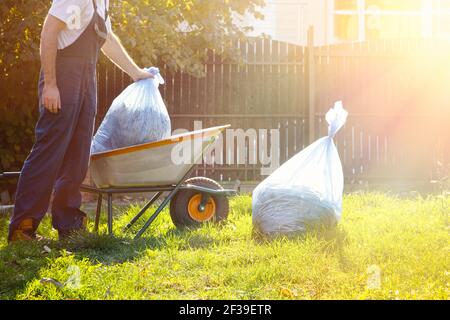 After cleaning the area ,a gardener in a blue uniform loads the bags of compost in the cart . sunlight on the right Stock Photo