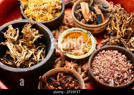 Medicinal healing herbs in herbal medicine.Natural medicine.Chinese herbal medicine Stock Photo