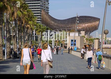 geography / travel, Spain, Barcelona, promenade of the harbour Olimpic with golden fish Peix d'Or of F, Additional-Rights-Clearance-Info-Not-Available Stock Photo