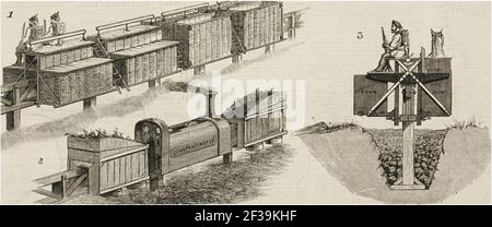 Proposed Pioneer Railway in South Africa, illustration from the magazine The Graphic, volume XVIII, no 453, August 3, 1878 Stock Photo