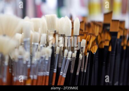 Group artistic paintbrushes for artist New paint brushes on shelf display in stationery shop. Art painting concept. Concept selling tools for artists