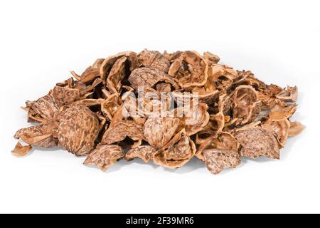 Pile of crushed Walnut shells isolated on white background Stock Photo