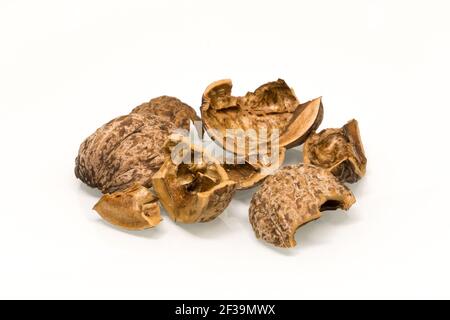 Broken Walnut shells isolated on white background Stock Photo