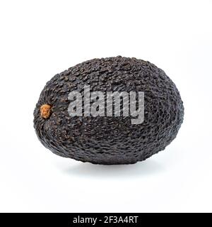 Avocado isolated on white background. Avocado close up Stock Photo