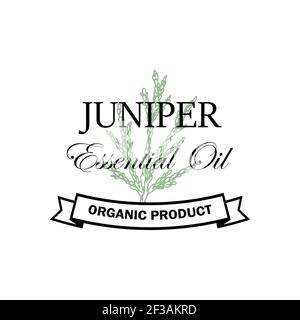 Juniper essential oil logo with hand drawn element isolated on white background. Vector illustration in vintage style Stock Vector