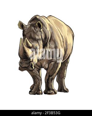 Rhinoceros from a splash of watercolor, colored drawing, realistic. Vector illustration of paints Stock Vector