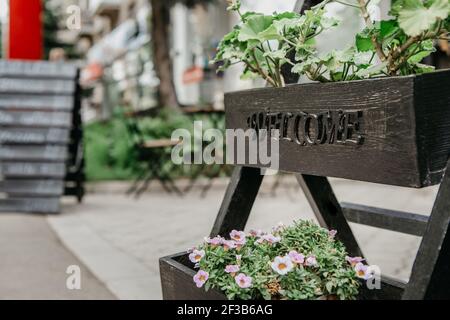 Cozy cafeteria on city street, small business and flower shop during covid-19 quarantine Stock Photo