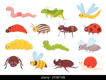 Cute insects set, colorful funny insects, grasshopper dragonfly worm spider fly ladybug Stock Vector