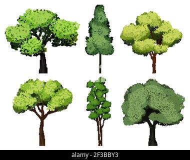 A Set Of Trees. Various Trunks And Foliage Of Plants, Forest Trees. Sketch  Style, Contours And Spots, Linear Handrawing. Illustration On White  Background. Royalty Free SVG, Cliparts, Vectors, and Stock Illustration.  Image