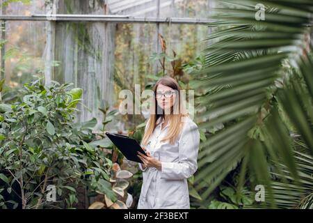Young high-skilled woman agronomist wearing white lab coat, walking with folder beside palm trees in beautiful greenhouse, making notes and Stock Photo