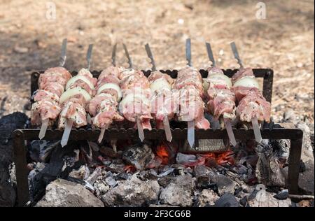 Grilling raw meat on outdoor grill. Cooking meat barbecue on charcoal grill at picnic. Kebab grilling. Stock Photo