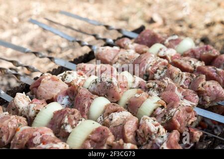 Grilling raw meat on outdoor grill. Cooking meat barbecue on charcoal grill at picnic. Kebab grilling. Stock Photo