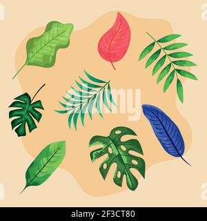 eight set leafs Stock Vector