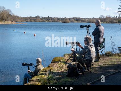 Linlithgow, UK. 16th Mar, 2021. Spring Weather: Birdwatchers photograph Great Crested Grebes as they perform their courtship dance on Linlithgow loch, Linlithgow, Scotland. In spring, displaying Great Crested Grebes put on a spectacular display on lakes, reservoirs and gravel pits over most of the UK. Both sexes grow black and orange facial ruffs and black ear-tufts known as tippets, which they use in a special ceremony to establish their bonds in the breeding season. Credit: Ian Rutherford/Alamy Live News