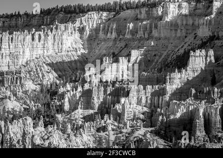 Bryce Canyon National Park, USA. Black and white landscape taken at sunset Stock Photo