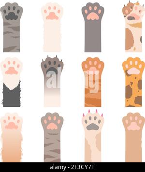 Paw cats. Cute animals hands wild cats claws vector cartoon characters Stock Vector